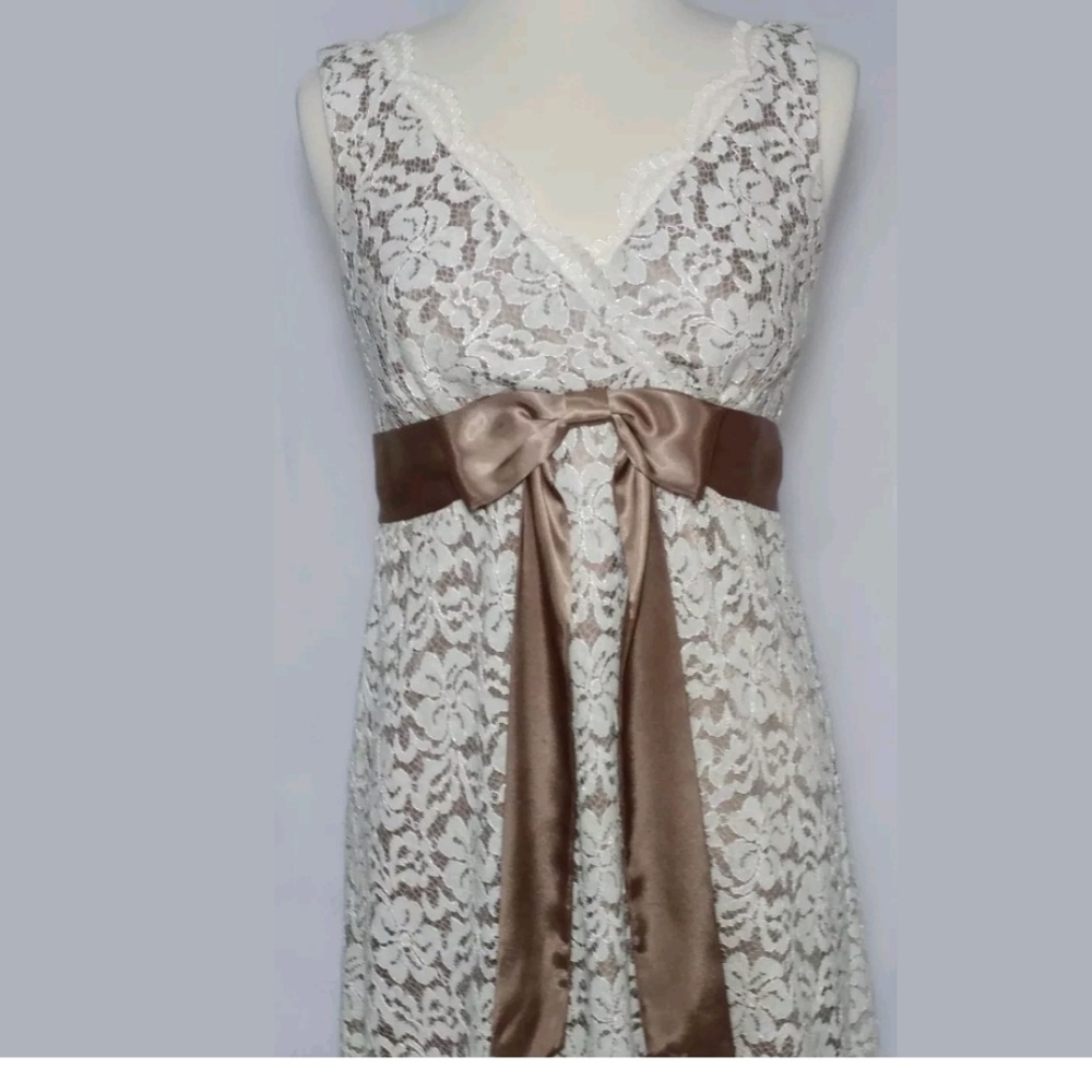 Eliza J New York Lace Overlay Dress
Size 10